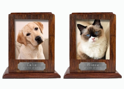 Image euthanasie