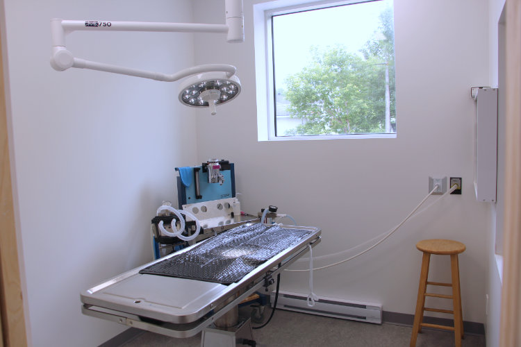 Image chirurgie