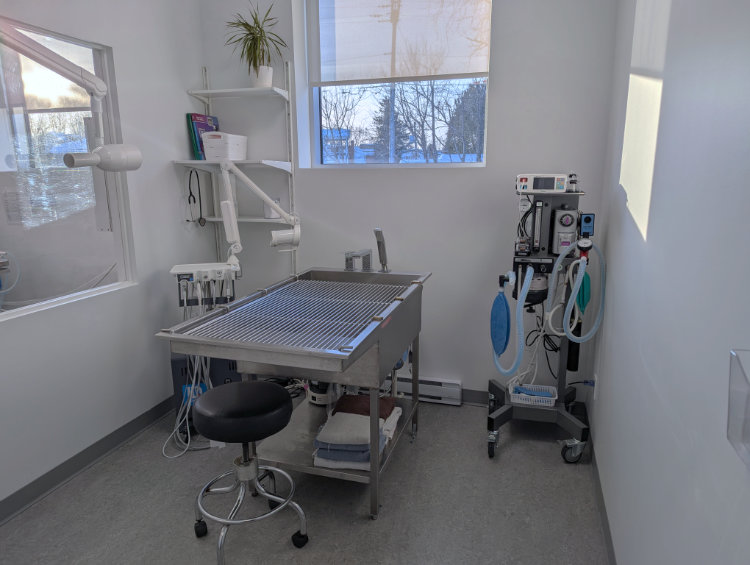 Image dentisterie